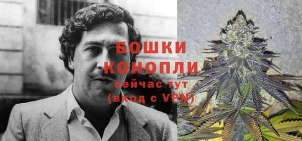 MESCALINE Белокуриха